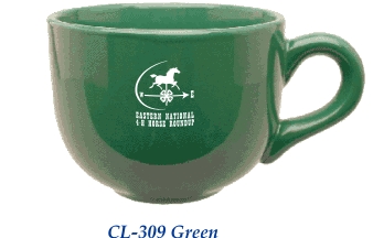 CL309