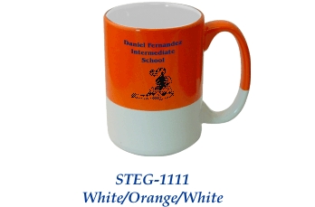 STEG1111