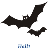 Hall1