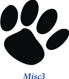 Misc3
