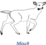 Misc8