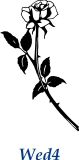 Wed4
