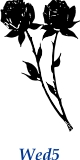 Wed5